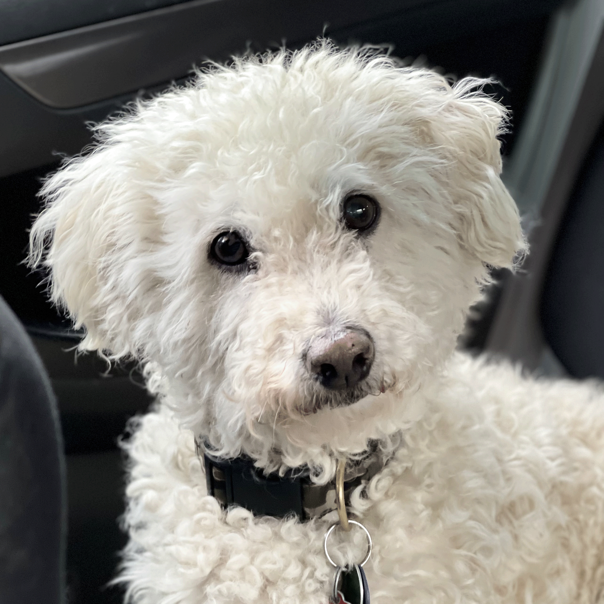 barketing team member 7