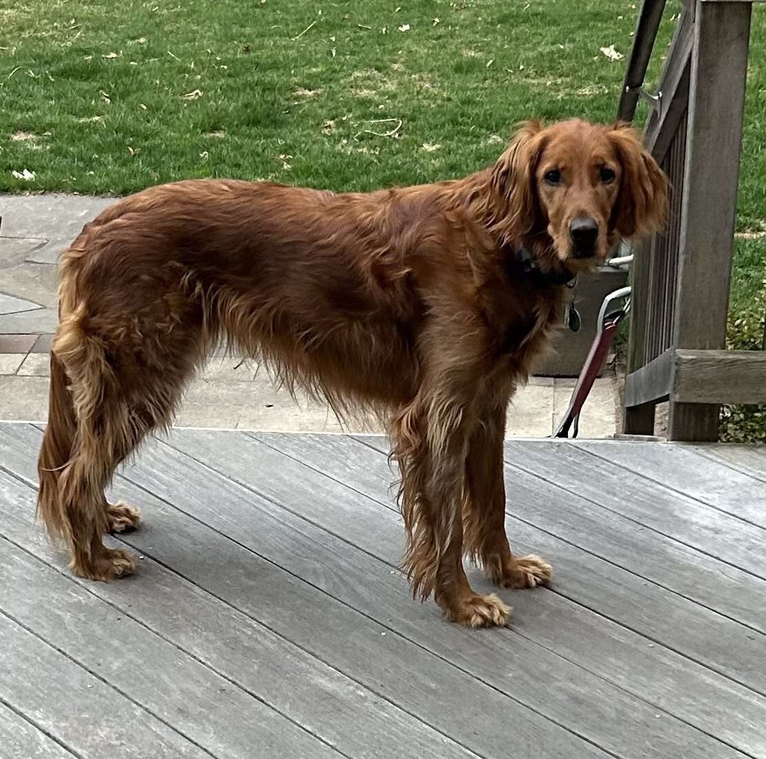 barketing team member 3