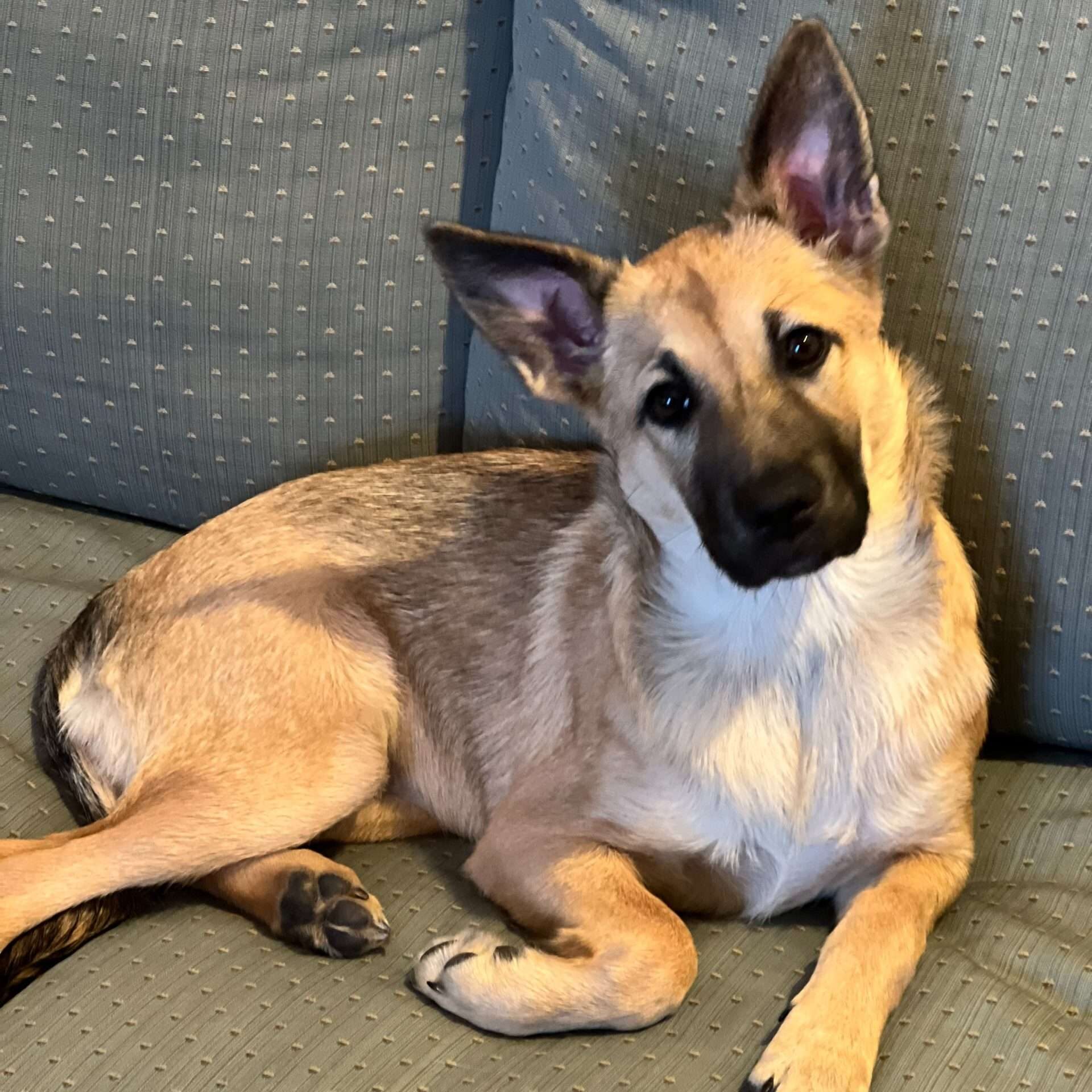 barketing team member 8