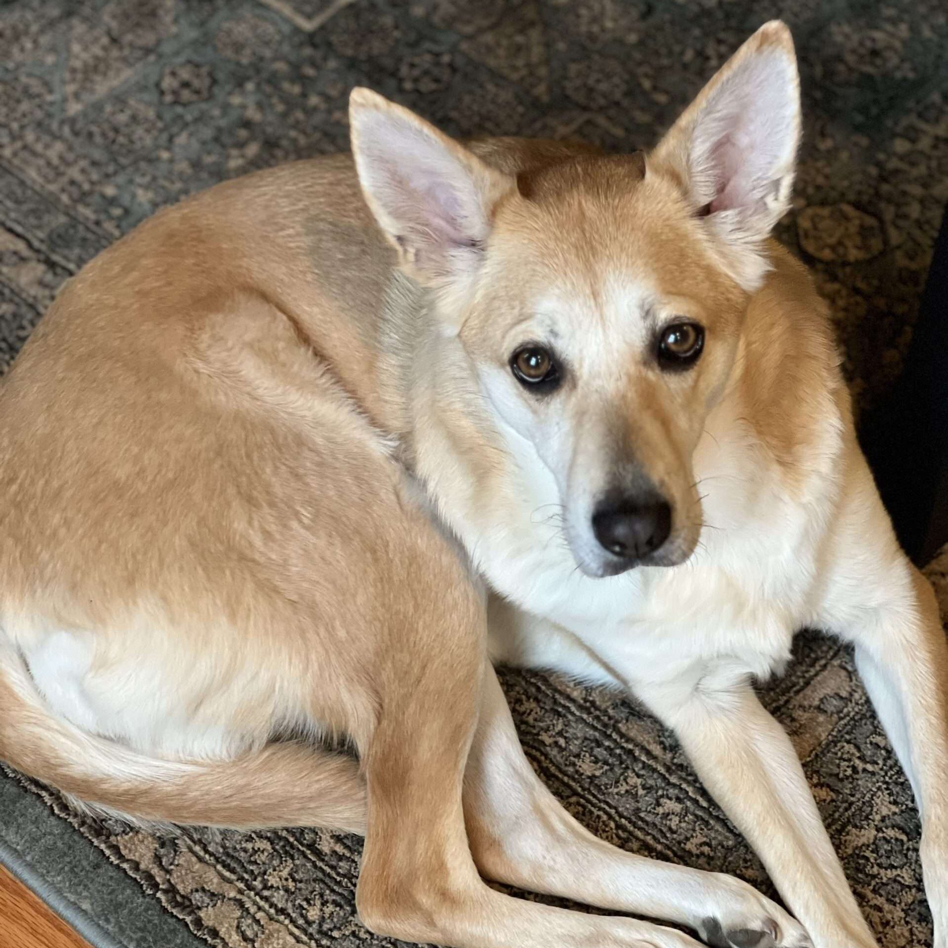 barketing team member 4