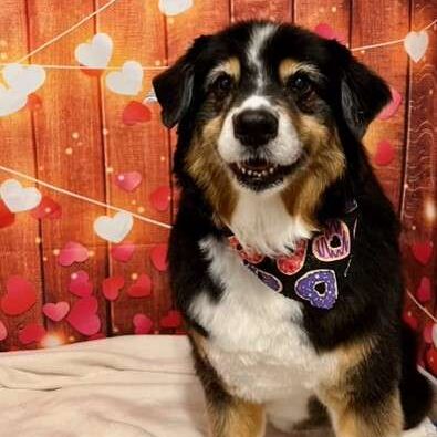 barketing team member 10