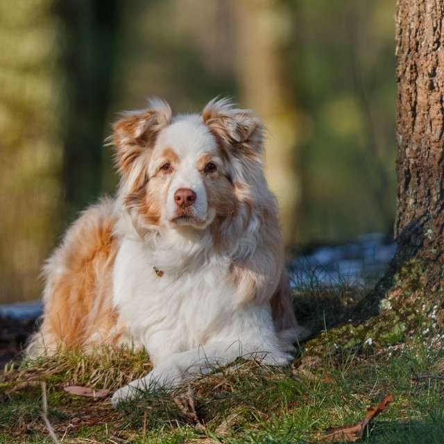 barketing team member 11