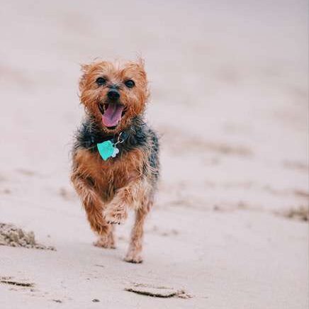 barketing team member 6