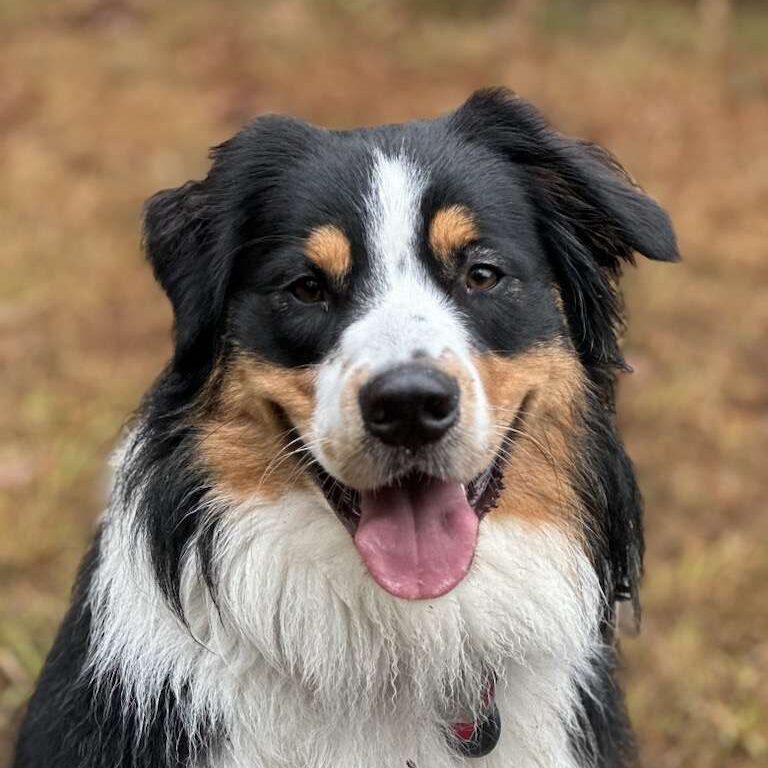 barketing team member 1