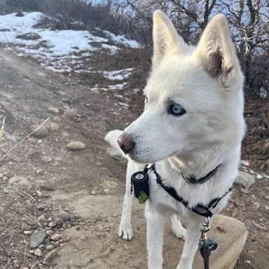 barketing team member 9